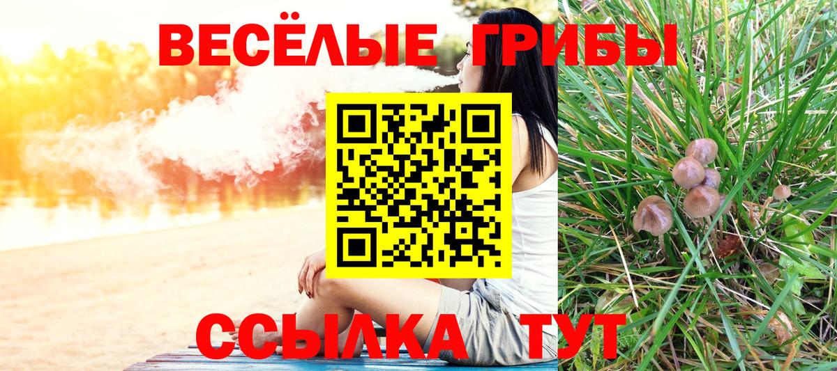 Галлюциногенные грибы Psilocybe Заринск