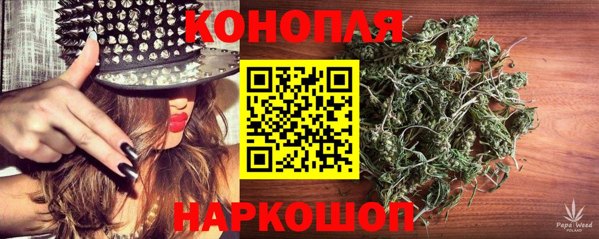 Бошки Шишки SATIVA & INDICA  Бошки Шишки план  Заринск  Вход с VPN  Конопля VHQ 